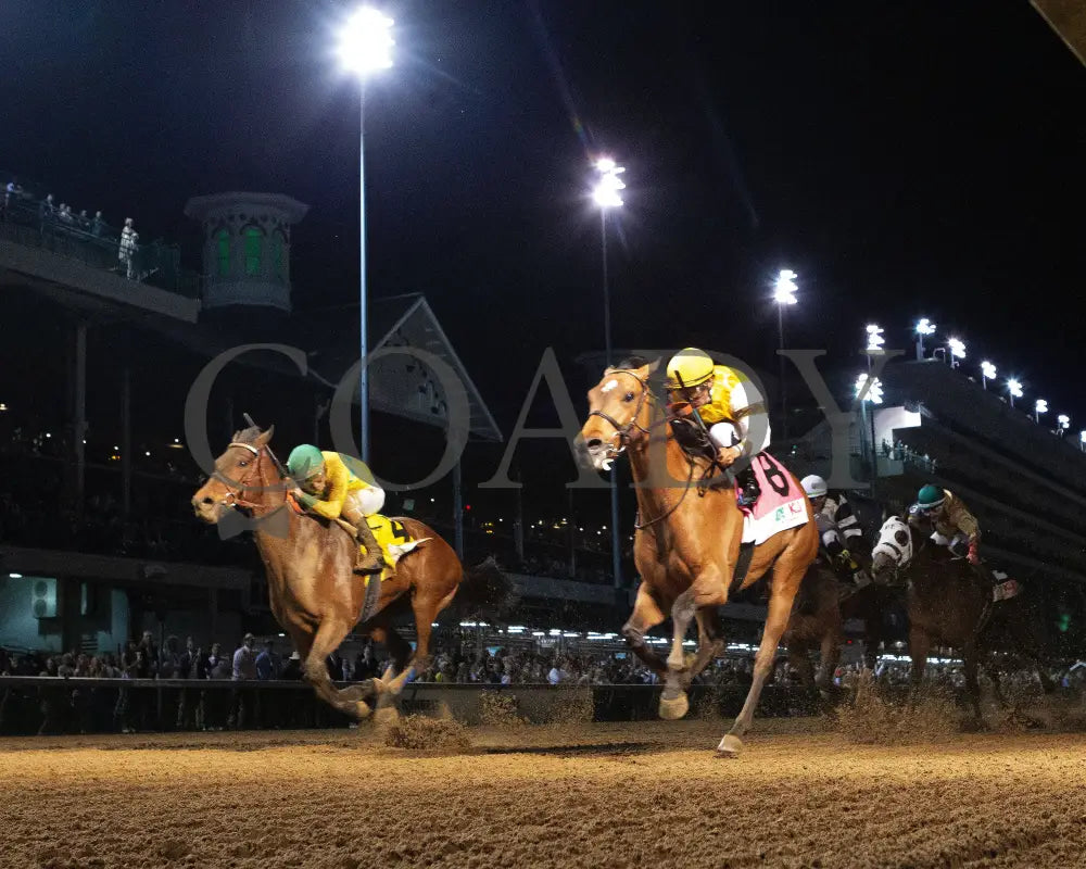 MINK’S PALACE - The Roxelana - 04-26-25 - R09 - CD - Under Rail 01 Churchill Downs