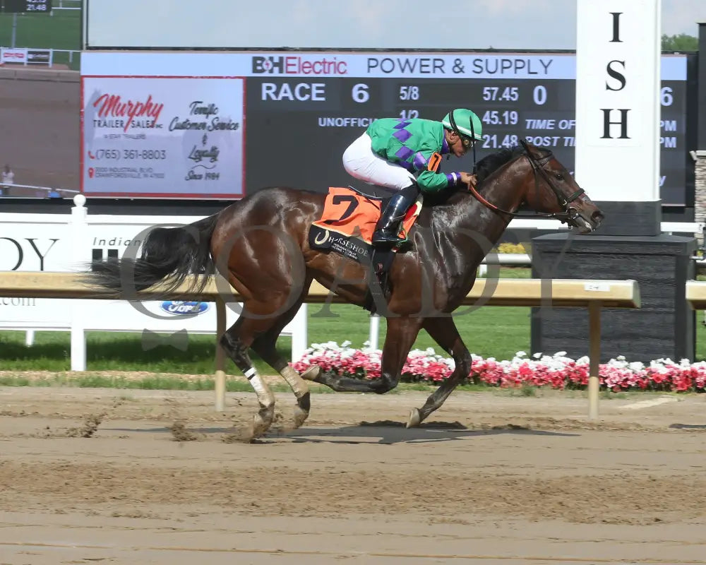 MISS CANDELA - Swifty Sired Fillies - 12th Running - 05-14-25 - R06 - Horseshoe Indiana - Finish 01 - Sammantha Pagels