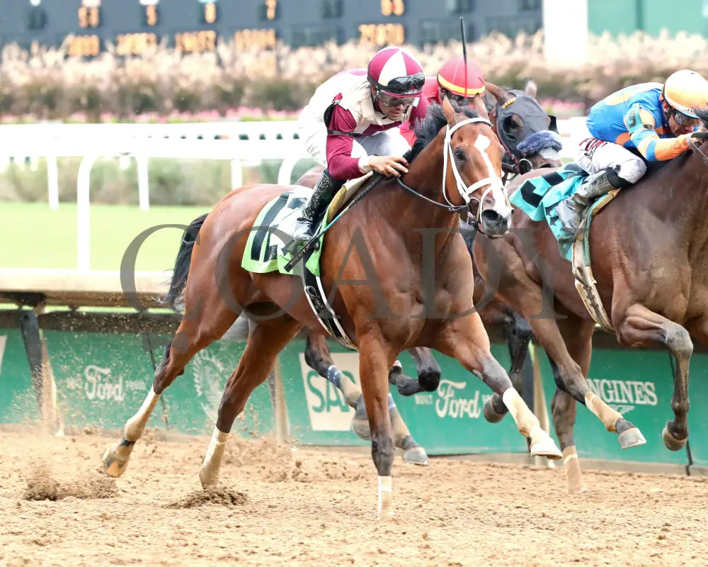 Miss Justify - The Seneca Overnight Stakes 09-21-24 R10 Cd Finish 02 Churchill Downs