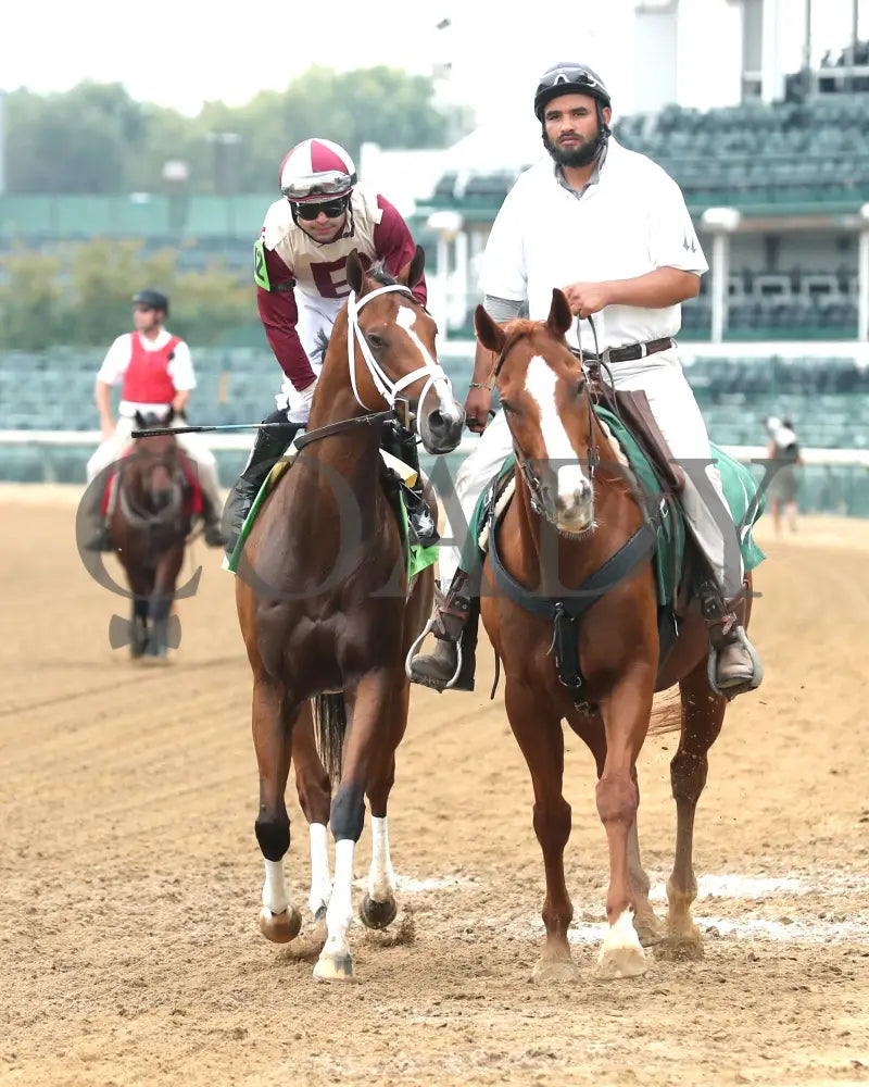 Miss Justify - The Seneca Overnight Stakes 09-21-24 R10 Cd Post Parade 01 Churchill Downs
