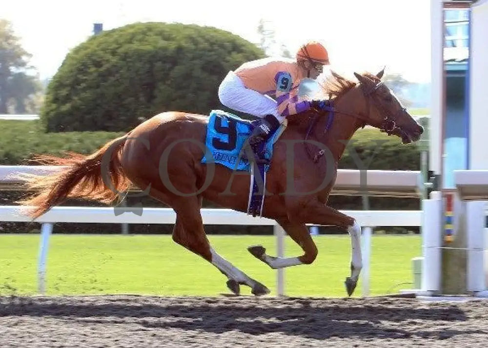 Miss Ruud - 1 100811 Race 04 Keeneland