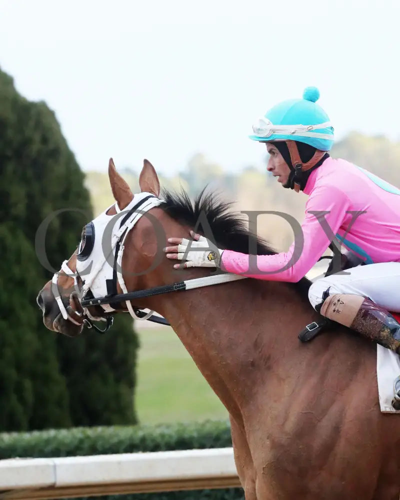 Misty Veil - The Pippin Stakes 42Nd Running 01-06-24 R09 Op Come Back 02 Oaklawn Park
