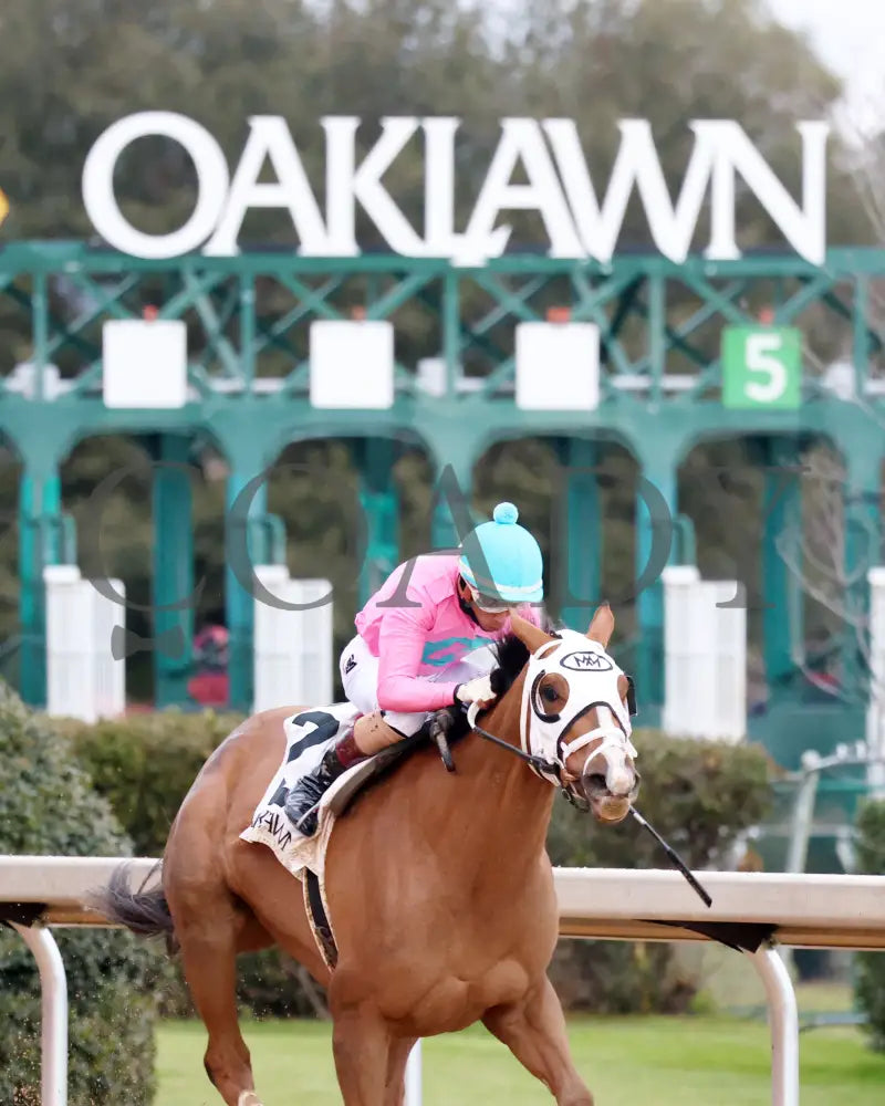 Misty Veil - The Pippin Stakes 42Nd Running 01-06-24 R09 Op Finish 03 Oaklawn Park
