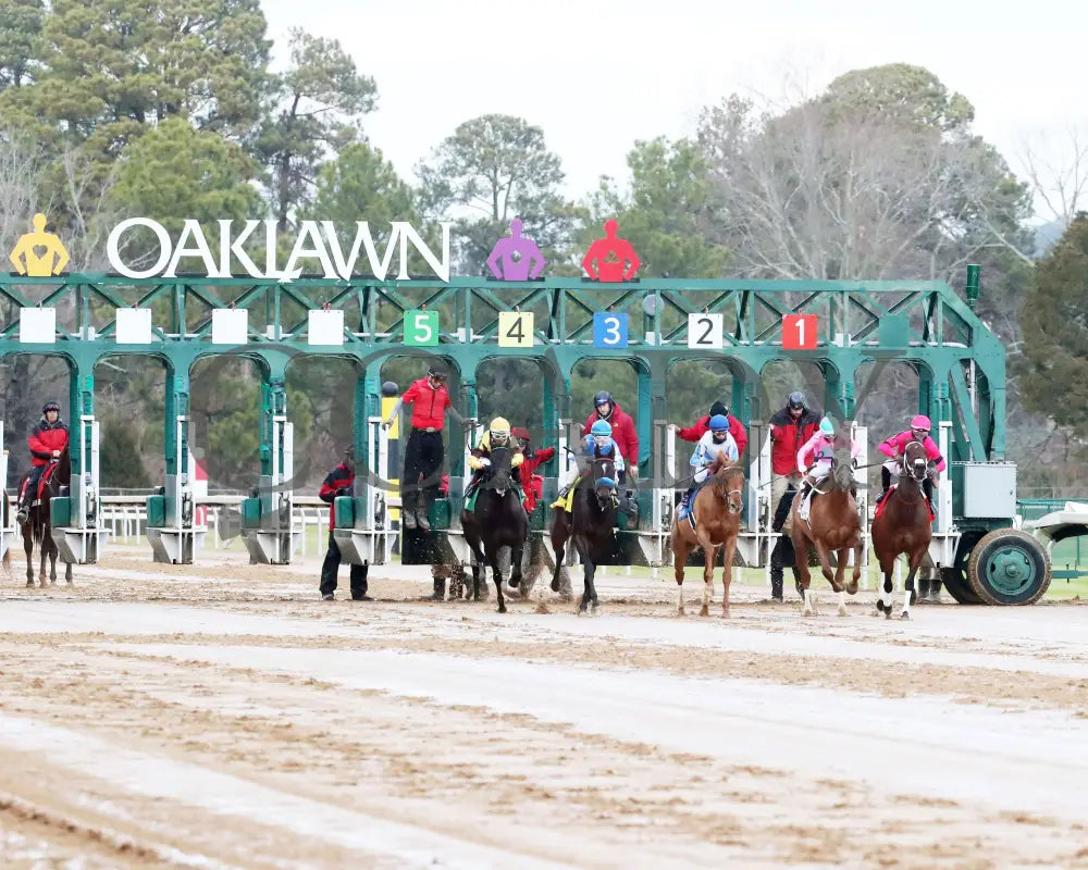 Misty Veil - The Pippin Stakes 42Nd Running 01-06-24 R09 Op Start 02 Oaklawn Park