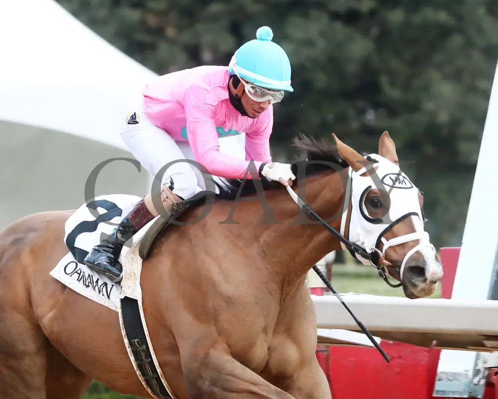 Misty Veil - The Pippin Stakes 42Nd Running 01-06-24 R09 Op Tight Finish 02 Oaklawn Park