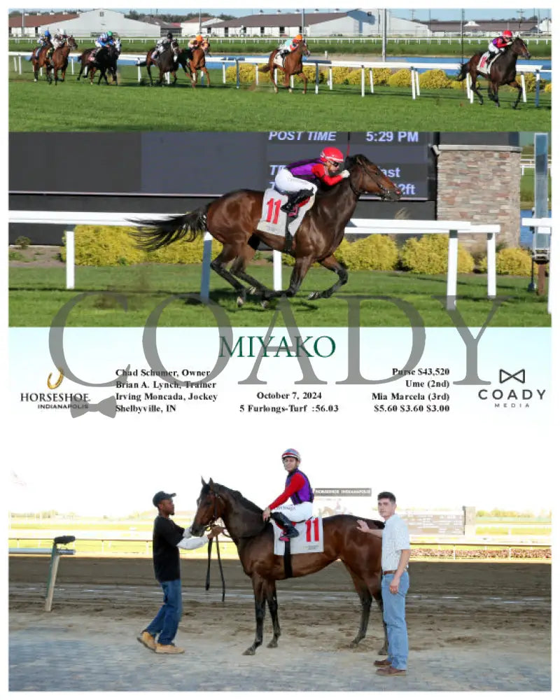 Miyako - 10-07-24 R07 Ind Indiana Grand