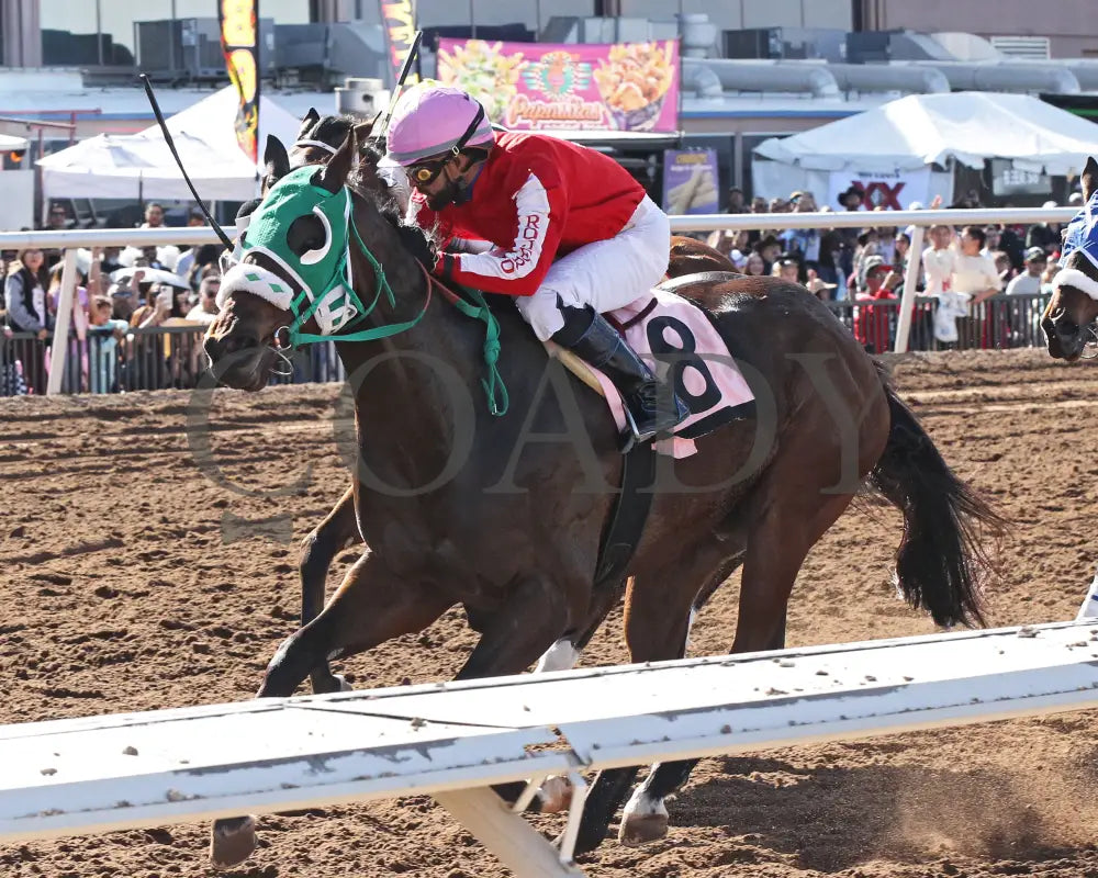 MOJICA - Red Hedeman Mile - 22nd Running - 02-16-25 - R06 - Sunland Park - Finish 2 (Copy) (Copy) Turfway Park