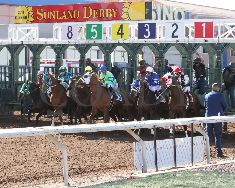 MOJICA - Red Hedeman Mile - 22nd Running - 02-16-25 - R06 - Sunland Park - Starting Gate Turfway Park