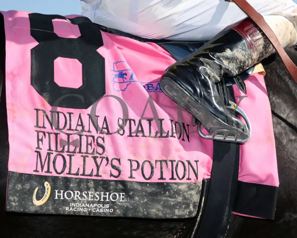 Molly’s Potion - Indiana Stallion Filly Division Sired 10-26-24 R04 Horseshoe Saddle Towel 01
