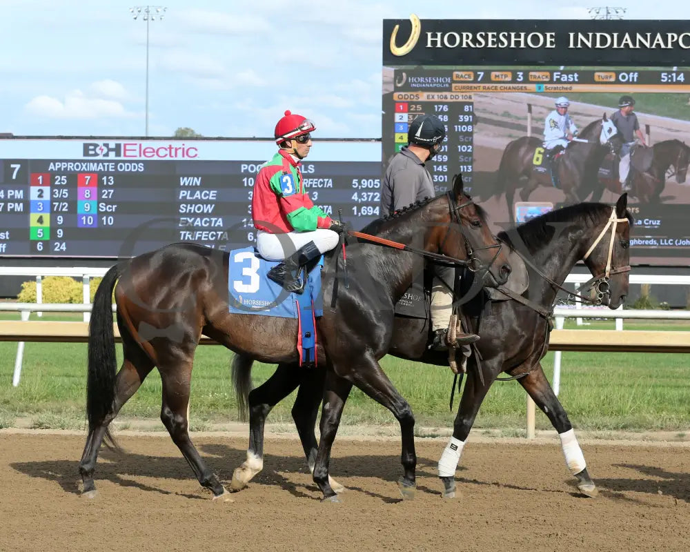 Molly’s Town - Don Dunham Overnight Handicap 09-25-24 R07 Horseshoe Indiana Post Parade 01