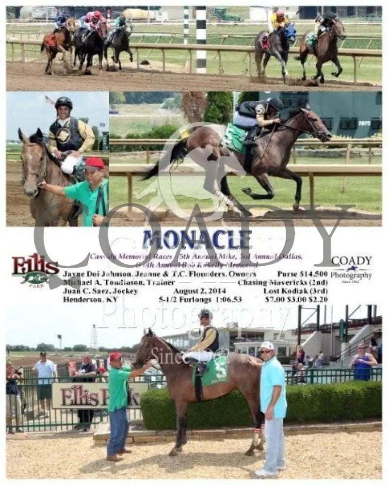 Monacle - 080214 Race 03 Elp Ellis Park