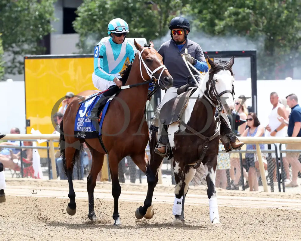 Money Supply - Jonathan B Schuster Memorial 15Th Running 07-06-24 R06 Horseshoe Indiana Post Parade