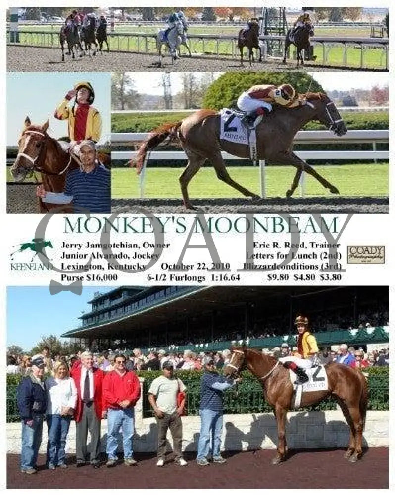 Monkey’s Moonbeam - 102210 Keeneland