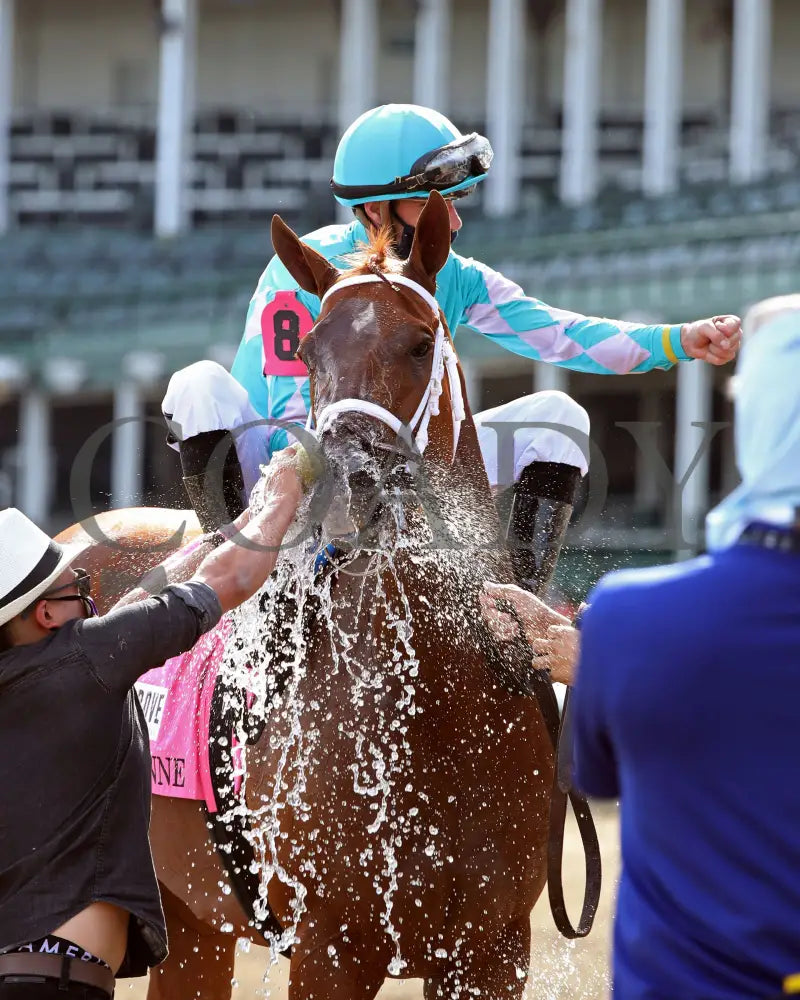 Monomoy Girl - The La Troienne G1 35Th Running 09-04-20 R11 Cd Celebration 07 Churchill Downs