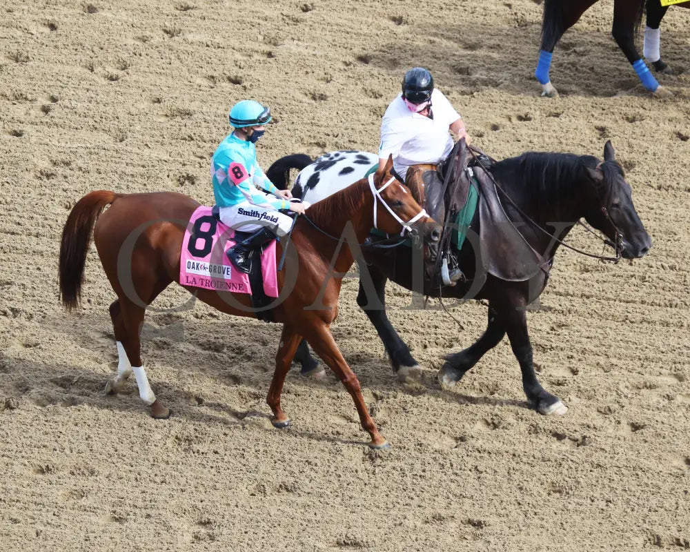 Monomoy Girl - The La Troienne G1 35Th Running 09-04-20 R11 Cd Post Parade 04 Churchill Downs