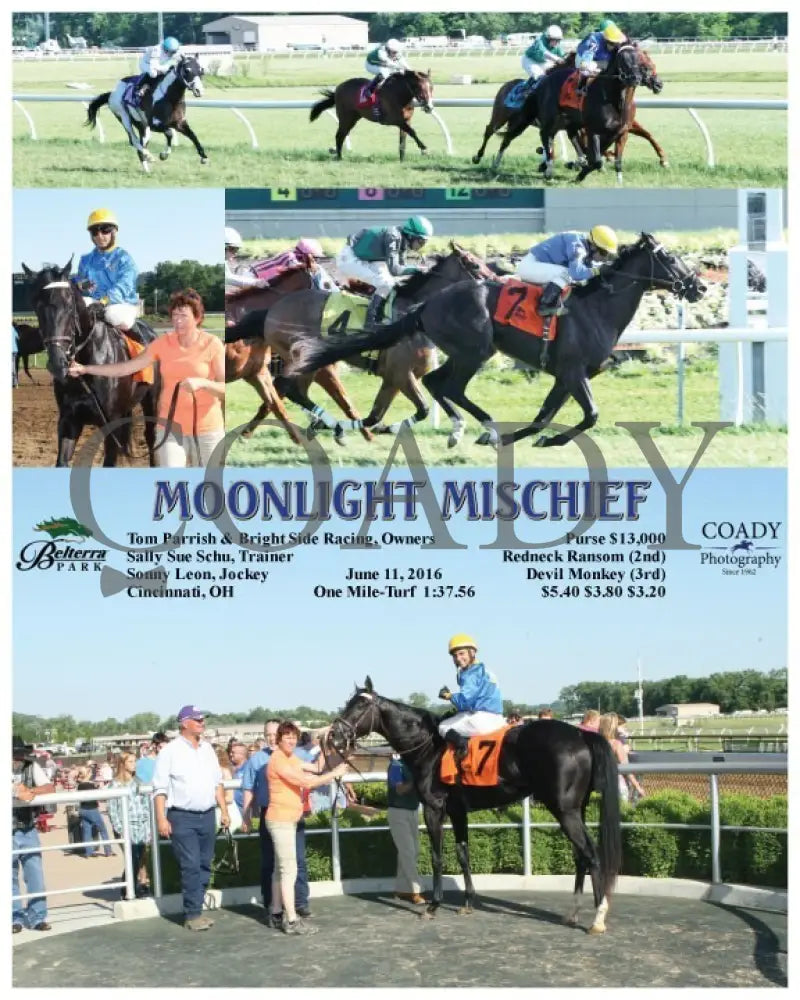 Moonlight Mischief - 061116 Race 09 Btp Belterra Park
