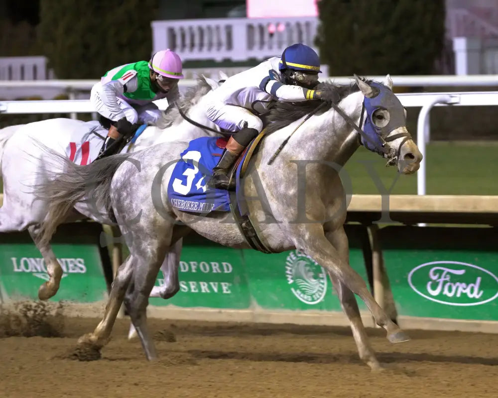 MOONLIGHT - The Cherokee Mile - 11-30-25 - R11 - CD - Finish 04 - Coady Media - Kurtis Coady Photography
