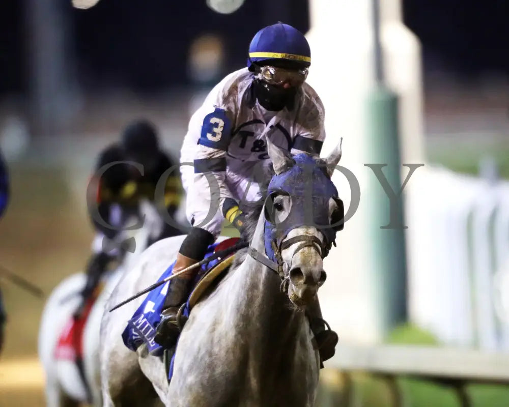 MOONLIGHT - The Cherokee Mile - 11-30-25 - R11 - CD - Gallop Out 03 - Coady Media - Kurtis Coady Photography