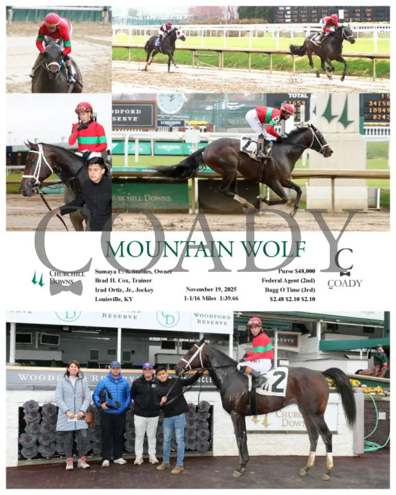MOUNTAIN WOLF - 111925 - Race 01 - CD - Coady Media - Kurtis Coady Photography