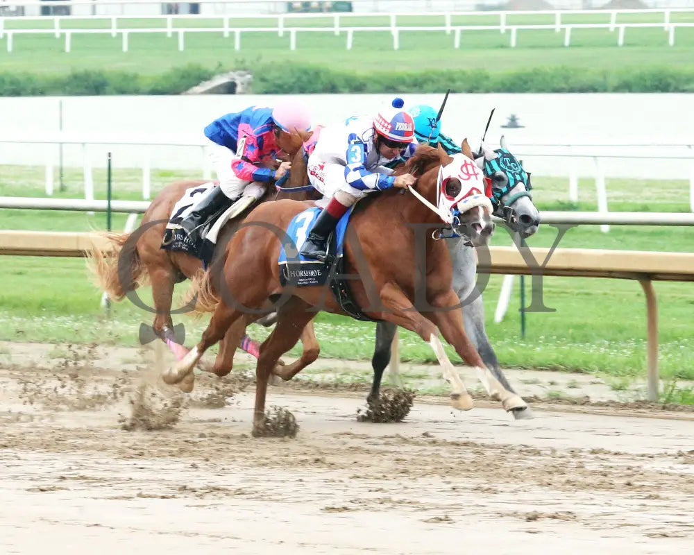 MR BOOOMBASTIC - Mari Hulman George Overnight Stakes - 07-31-25 - R09 - Horseshoe Indiana - Finish 02 - Sammantha