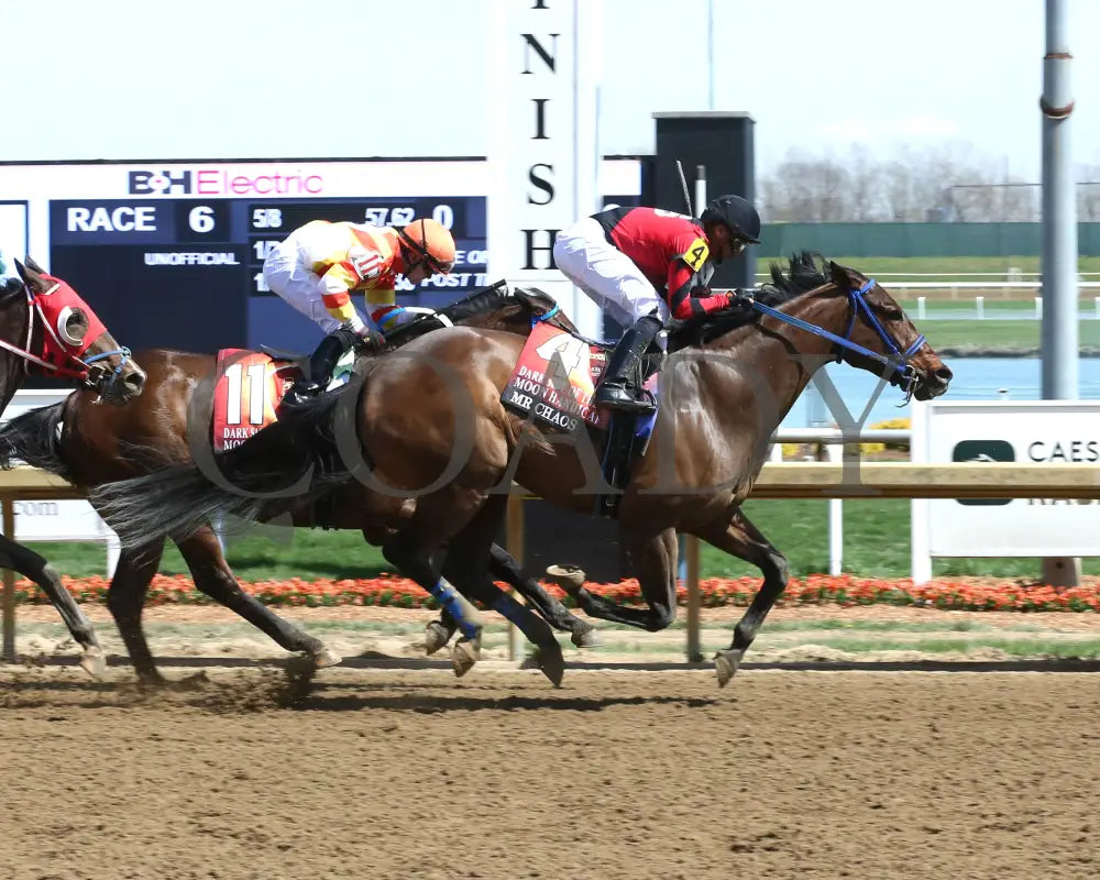 Mr Chaos - Dark Side Of The Moon Overnight Handicap 04 - 08 - 24 R06 Horseshoe Indiana Finish 01