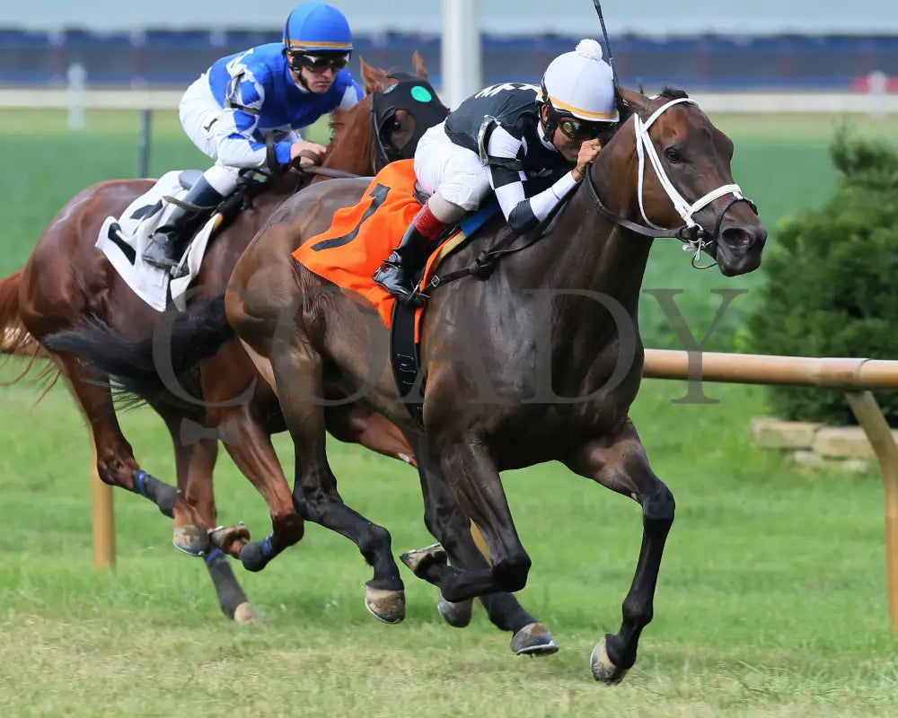 Mr. Misunderstood - 080518 Race 08 Elp Finish 02 Ellis Park