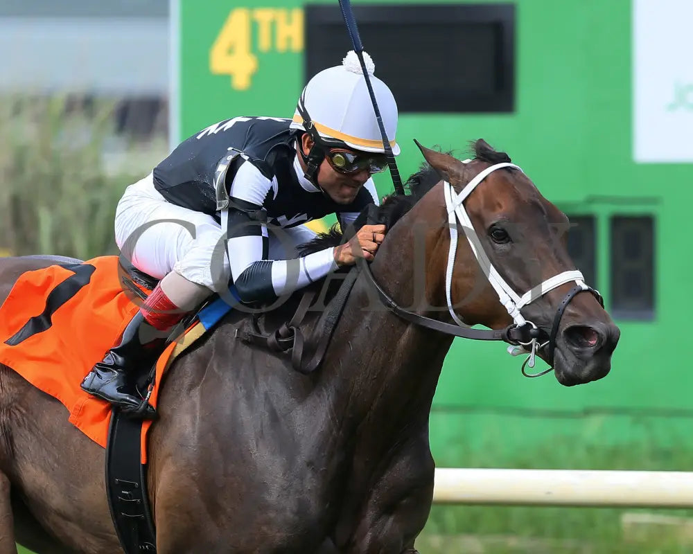 Mr. Misunderstood - 080518 Race 08 Elp Finish 03 Ellis Park