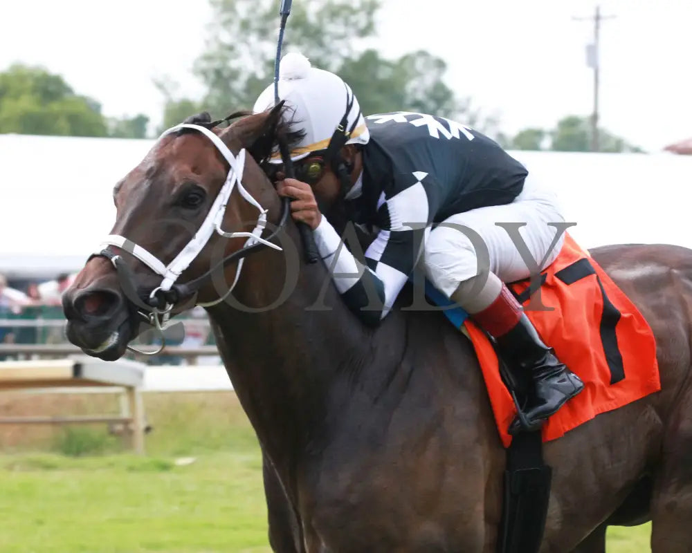 Mr. Misunderstood - 080518 Race 08 Elp Inside Finish 01 Ellis Park