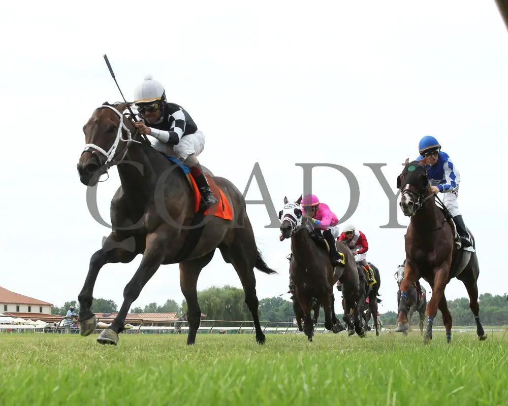 Mr. Misunderstood - 080518 Race 08 Elp Under Rail 01 Ellis Park