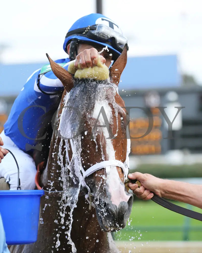 Mr. Money - Ack G3 28Th Running 09-26-20 R09 Cd Come Back 05 Churchill Downs