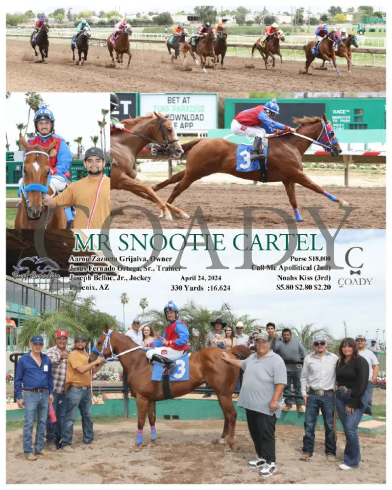 Mr Snootie Cartel - 04 - 24 - 24 R03 Tup Turf Paradise