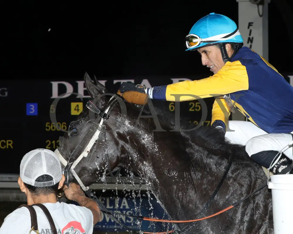Muchmorethanready - La Bred Premier Ladies Starter 02-03-24 R04 Delta Downs Return Shot 3