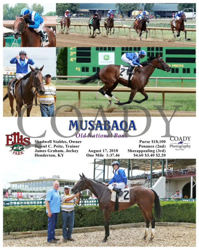 Musabaqa - 081718 Race 06 Elp Ellis Park