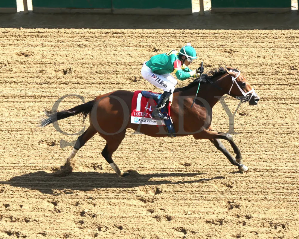 Musical Mischief - The Fasig-Tipton Locust Grove G2 09-14-24 R07 Cd Aerial Finish 01 Churchill Downs