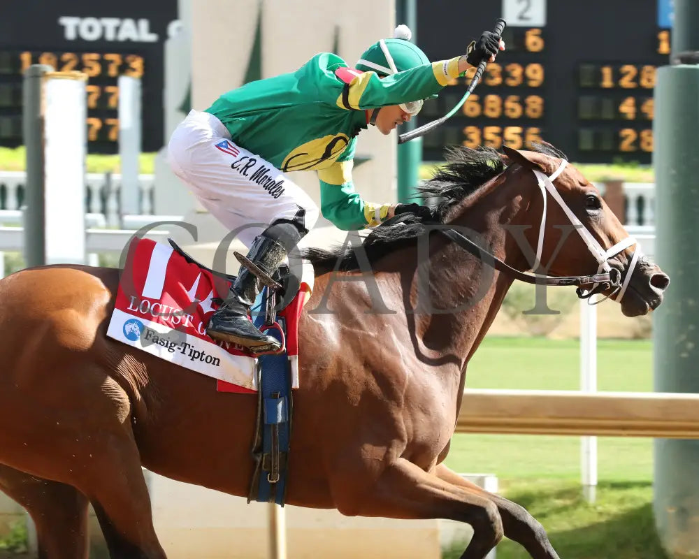 Musical Mischief - The Fasig-Tipton Locust Grove G2 09-14-24 R07 Cd Celebration 01 Churchill Downs