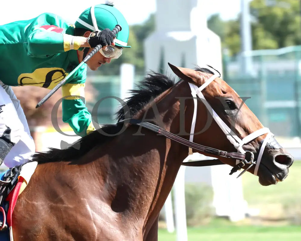 Musical Mischief - The Fasig-Tipton Locust Grove G2 09-14-24 R07 Cd Gallop Out 01 Churchill Downs