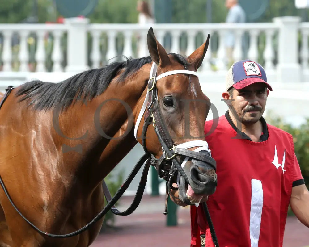 Musical Mischief - The Fasig-Tipton Locust Grove G2 09-14-24 R07 Cd Paddock 02 Churchill Downs