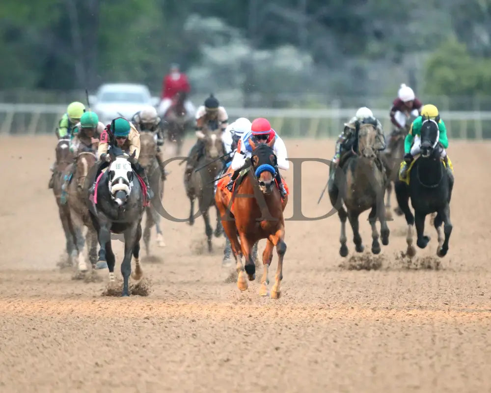 Muth - The 88Th Running Of Arkansas Derby G1 03 - 30 - 24 R12 Op Head On 01 Oaklawn Park