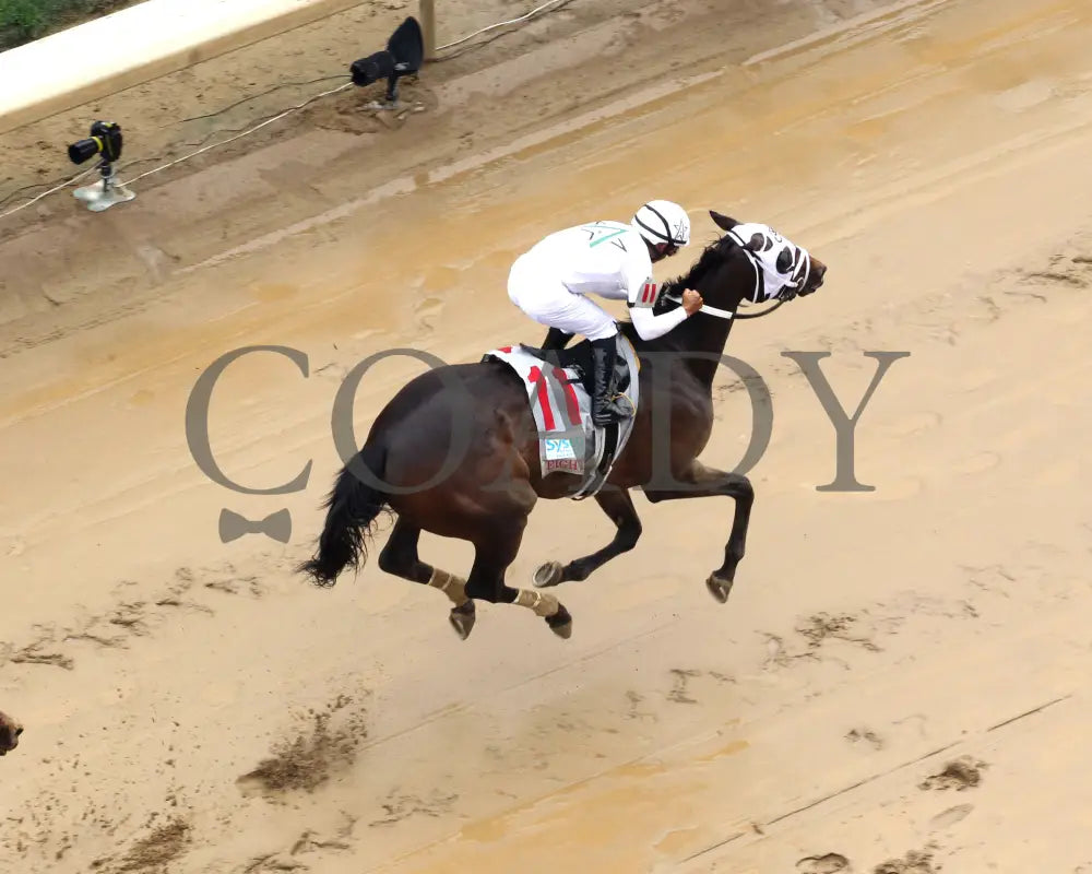 My Mane Squeeze - The Eight Belles G2 05-03-24 R09 Cd Aerial Finish 02 Churchill Downs