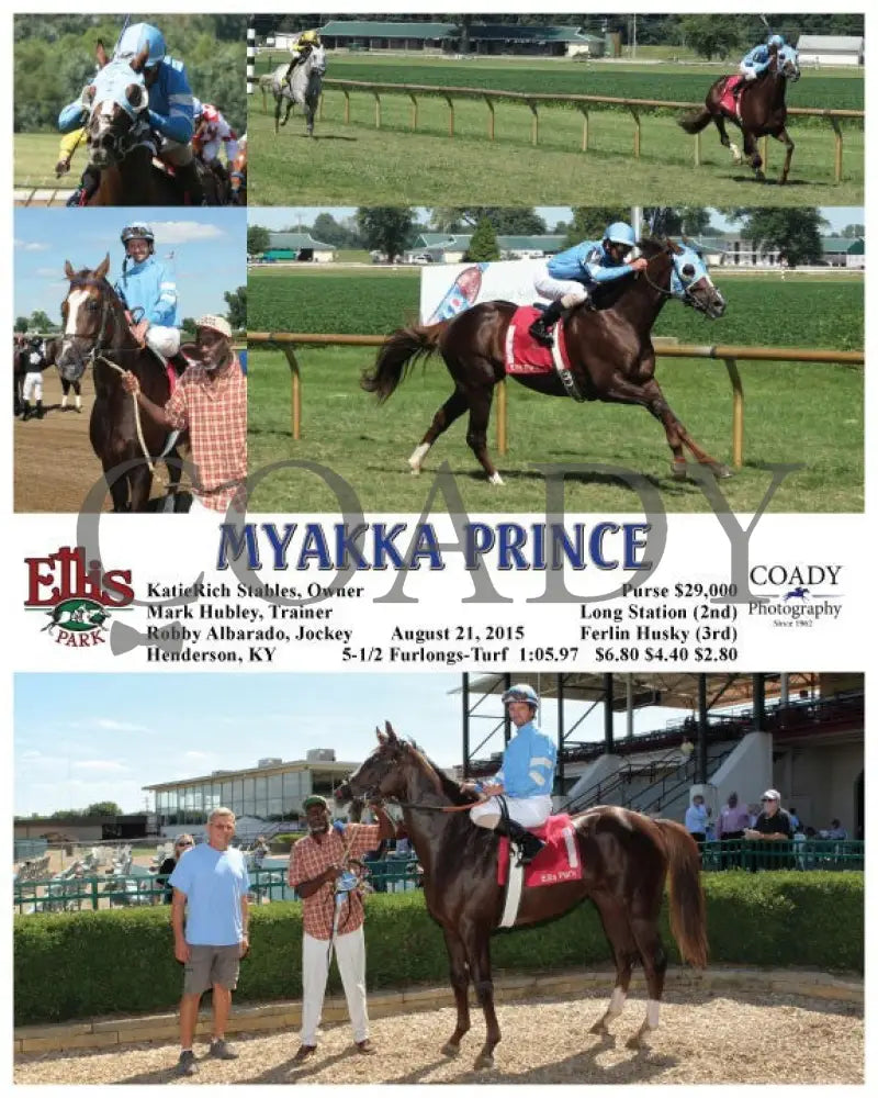 Myakka Prince - 082115 Race 05 Elp Ellis Park