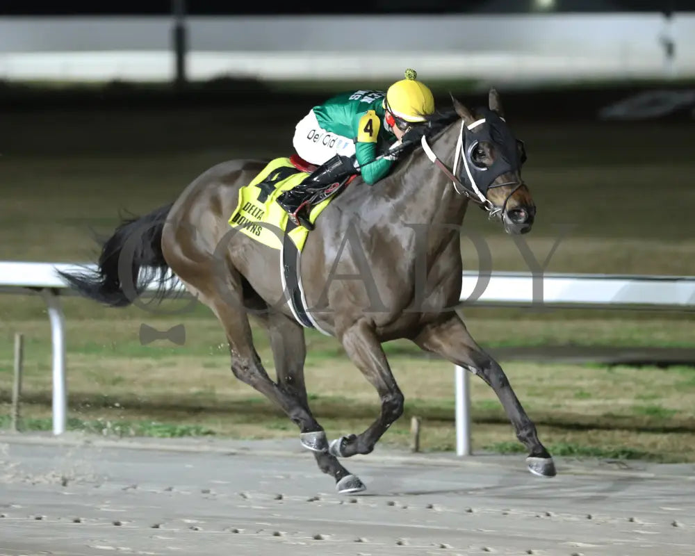 Myfriendsawinner - La Bred Premier Bon Temps Starter 02-03-24 R05 Delta Downs Finish 2