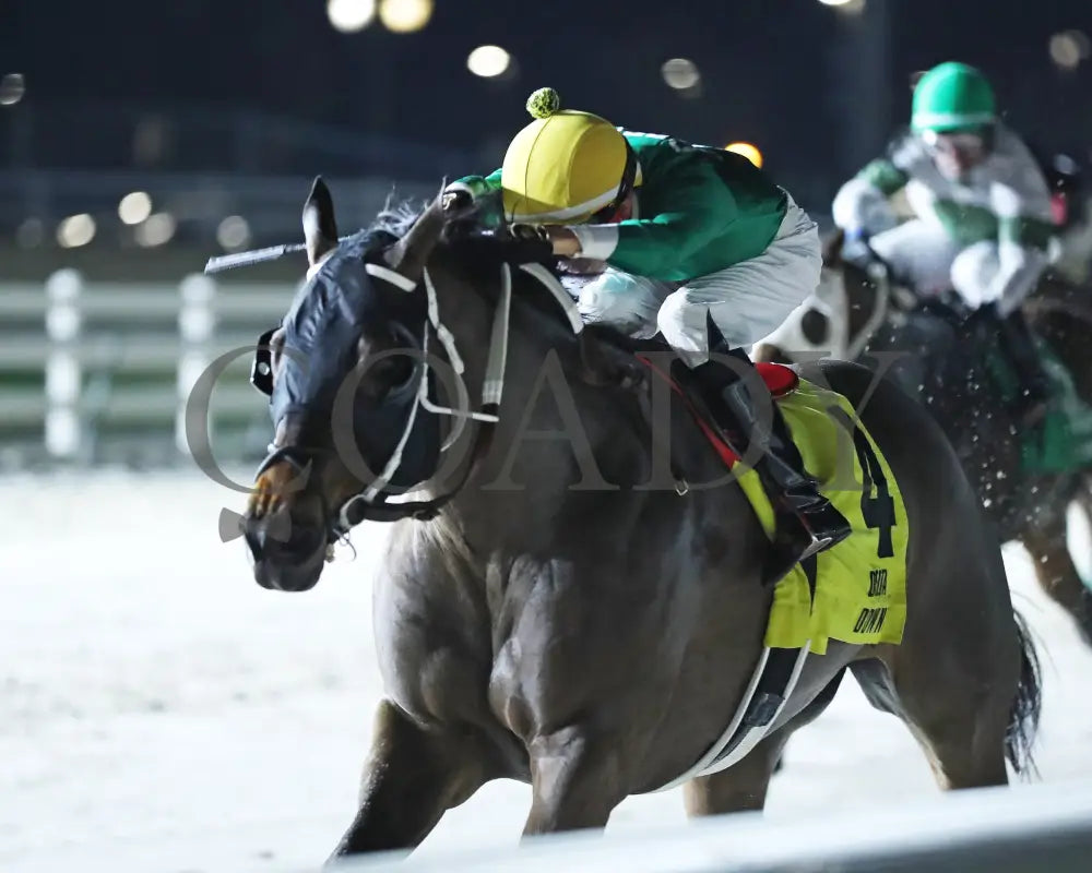Myfriendsawinner - La Bred Premier Bon Temps Starter 02-03-24 R05 Delta Downs Inside Finish