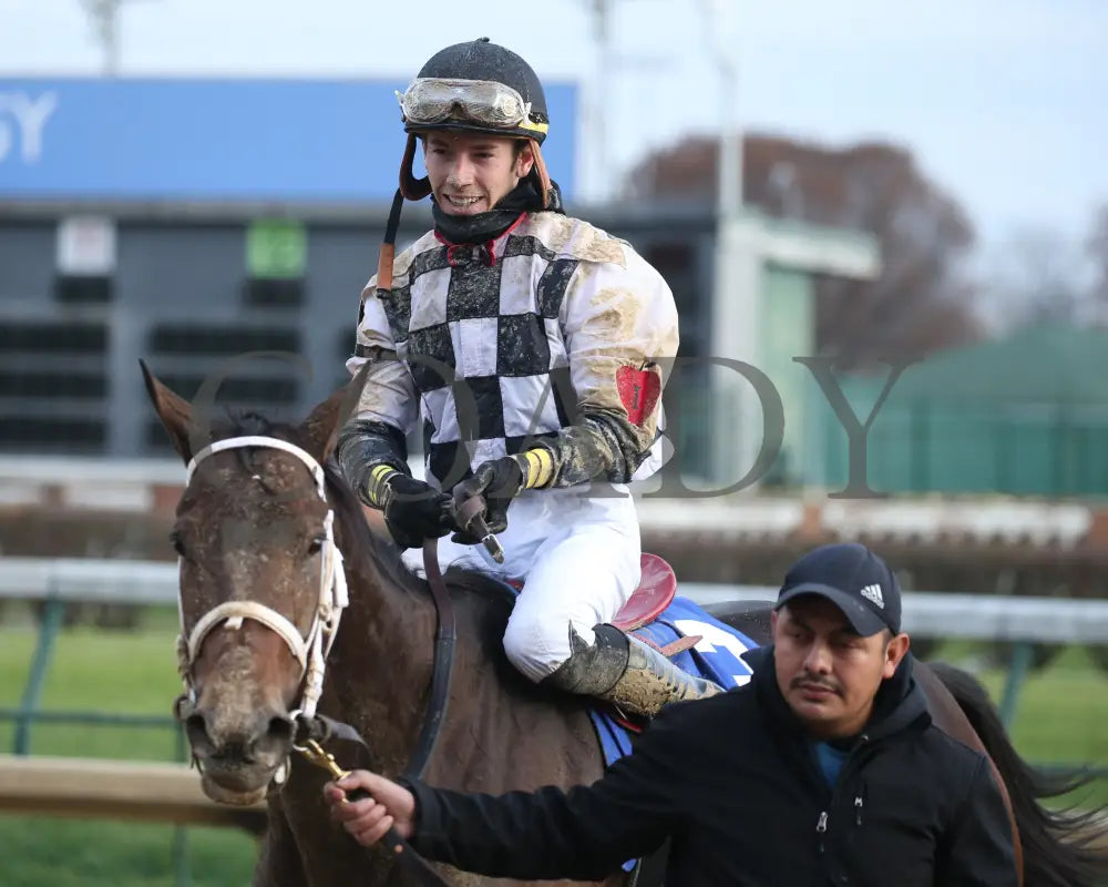 Mylady Curlin - Falls City G2 104Th Running 11-28-19 R09 Cd Come Back 02 Churchill Downs