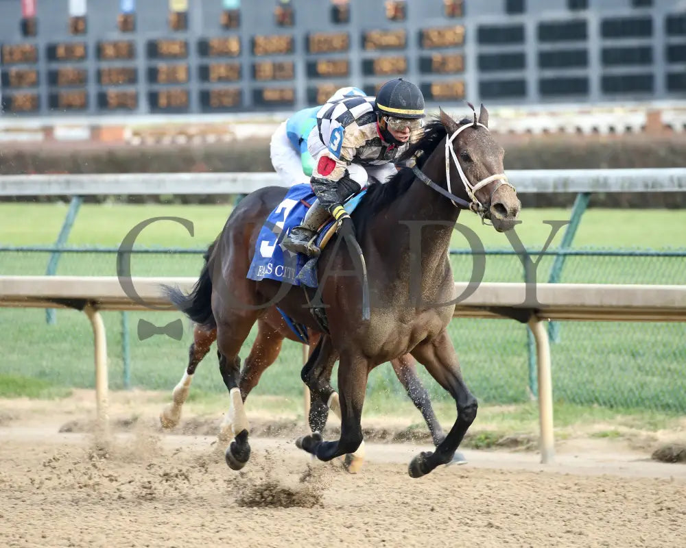 Mylady Curlin - Falls City G2 104Th Running 11-28-19 R09 Cd Finish 02 Churchill Downs