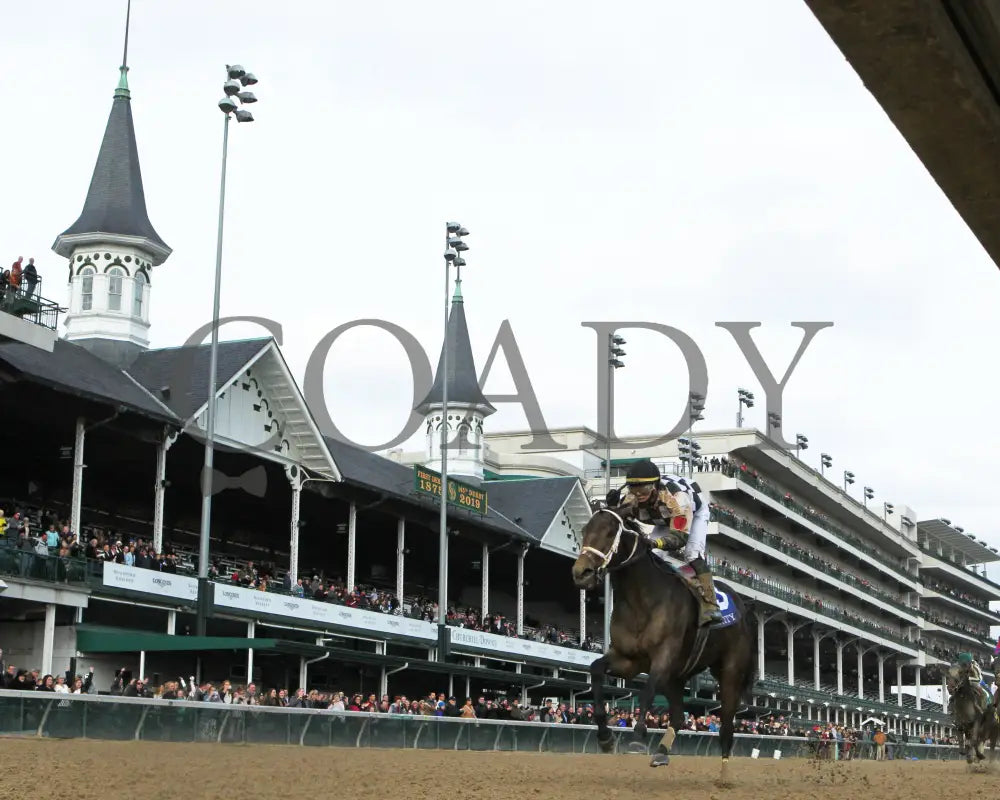 Mylady Curlin - Falls City G2 104Th Running 11-28-19 R09 Cd Under Rail 01 Churchill Downs