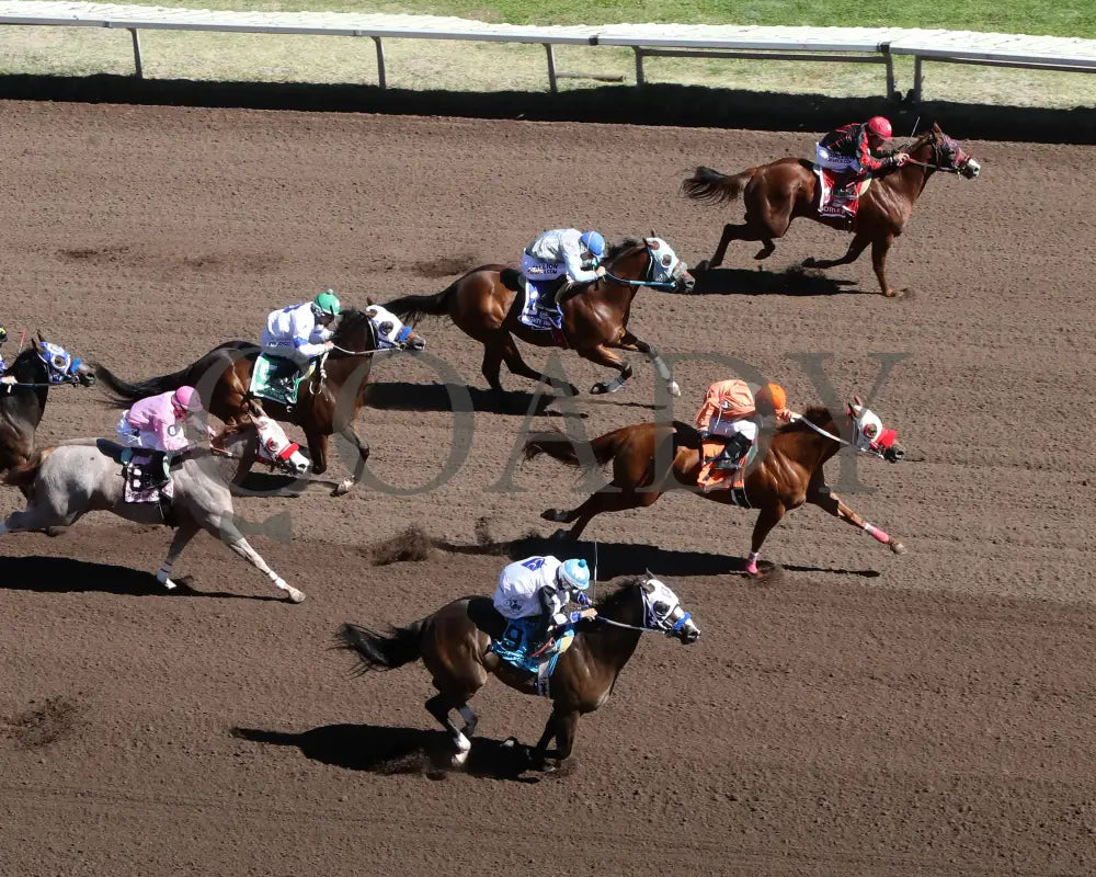 MYSTERIOUS CARTEL - 101825 - Race 12 - ALB The Adequan Derby Challenge Championship Glll Luis A. Gonzalez Owner David