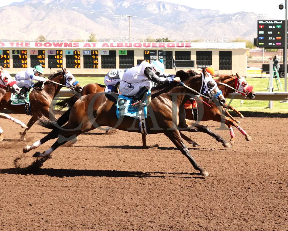 MYSTERIOUS CARTEL - The Adequan Derby Challenge Championship Glll - 10-18-25 - R09 - The Downs at Albuquerque - Aerial