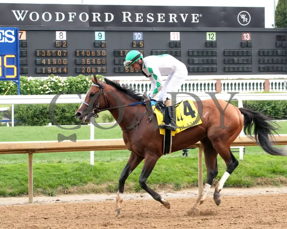 MYSTIK DAN - 053125 - Race 10 - CD The Blame G3 - 6th Running - Come Back 01 Churchill Downs