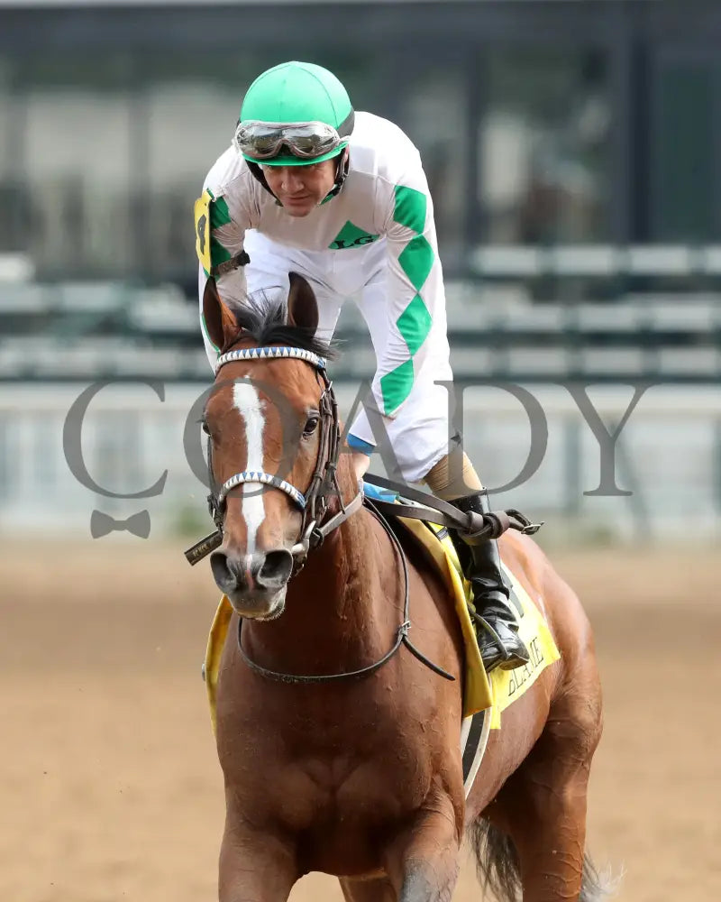 MYSTIK DAN - 053125 - Race 10 - CD The Blame G3 - 6th Running - Come Back 06 Churchill Downs