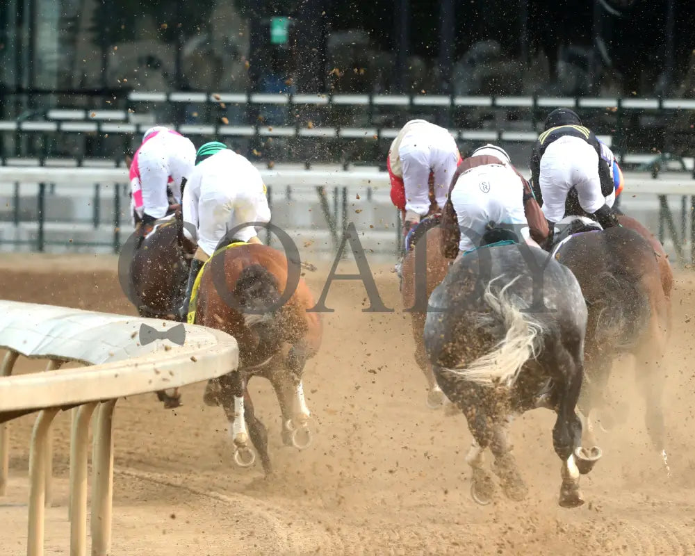 MYSTIK DAN - 053125 - Race 10 - CD The Blame G3 - 6th Running - First Turn 04 Churchill Downs